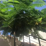 Vila Casa Flamboyant *