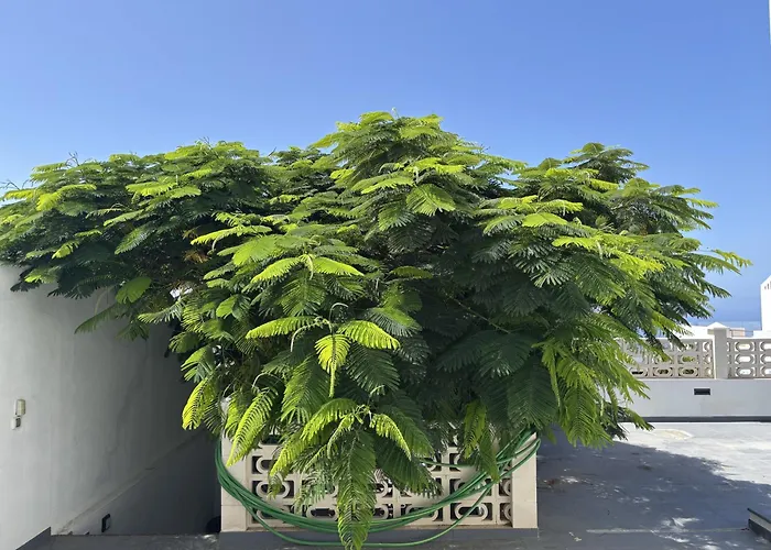 Villa Casa Flamboyant