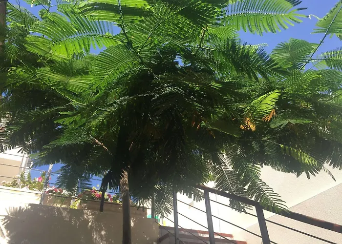 Villa Casa Flamboyant *